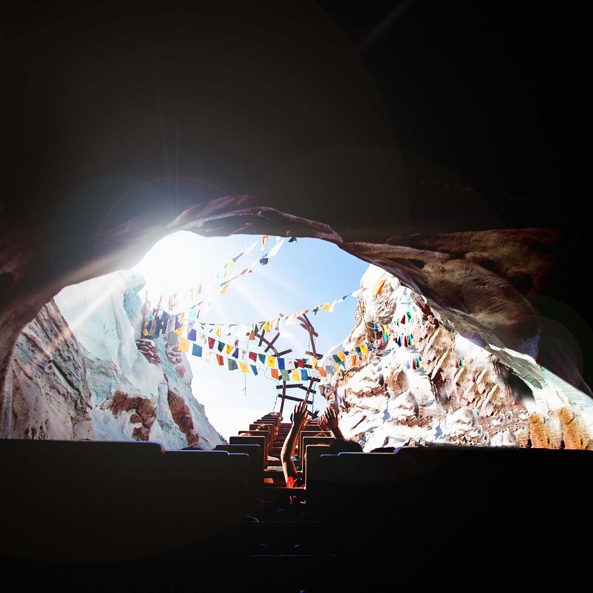 lake buena vista person riding roller coaster entering a hole united states
